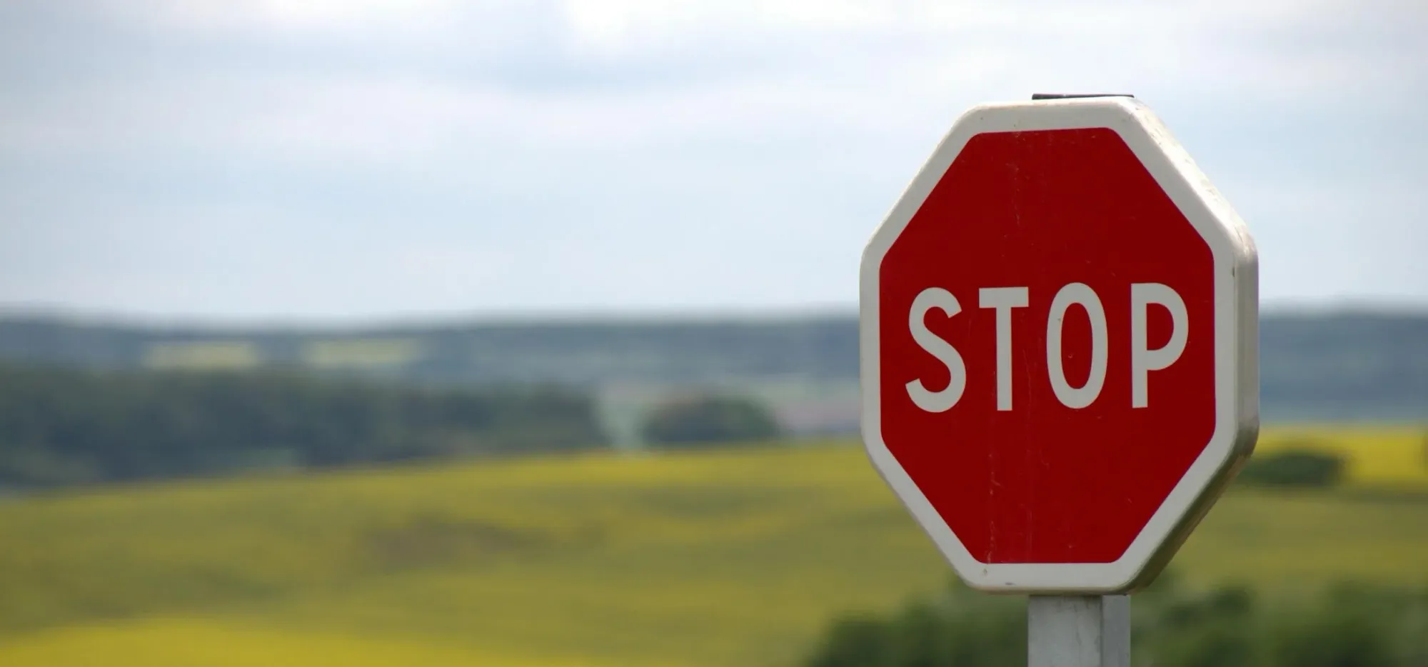 Stop sign in a field.